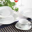 20pcs dinner set