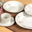 20pcs dinner set