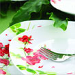 20pcs dinner set