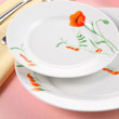 20pcs dinner set
