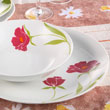 20pcs coupe dinner set
