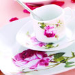 20pcs dinner set