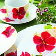 20pcs dinner set