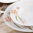 20pcs dinner set