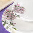 20pcs dinner set