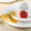 20pcs dinner set