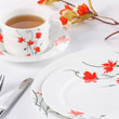 20pcs dinner set