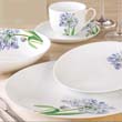 20pcs coupe dinner set